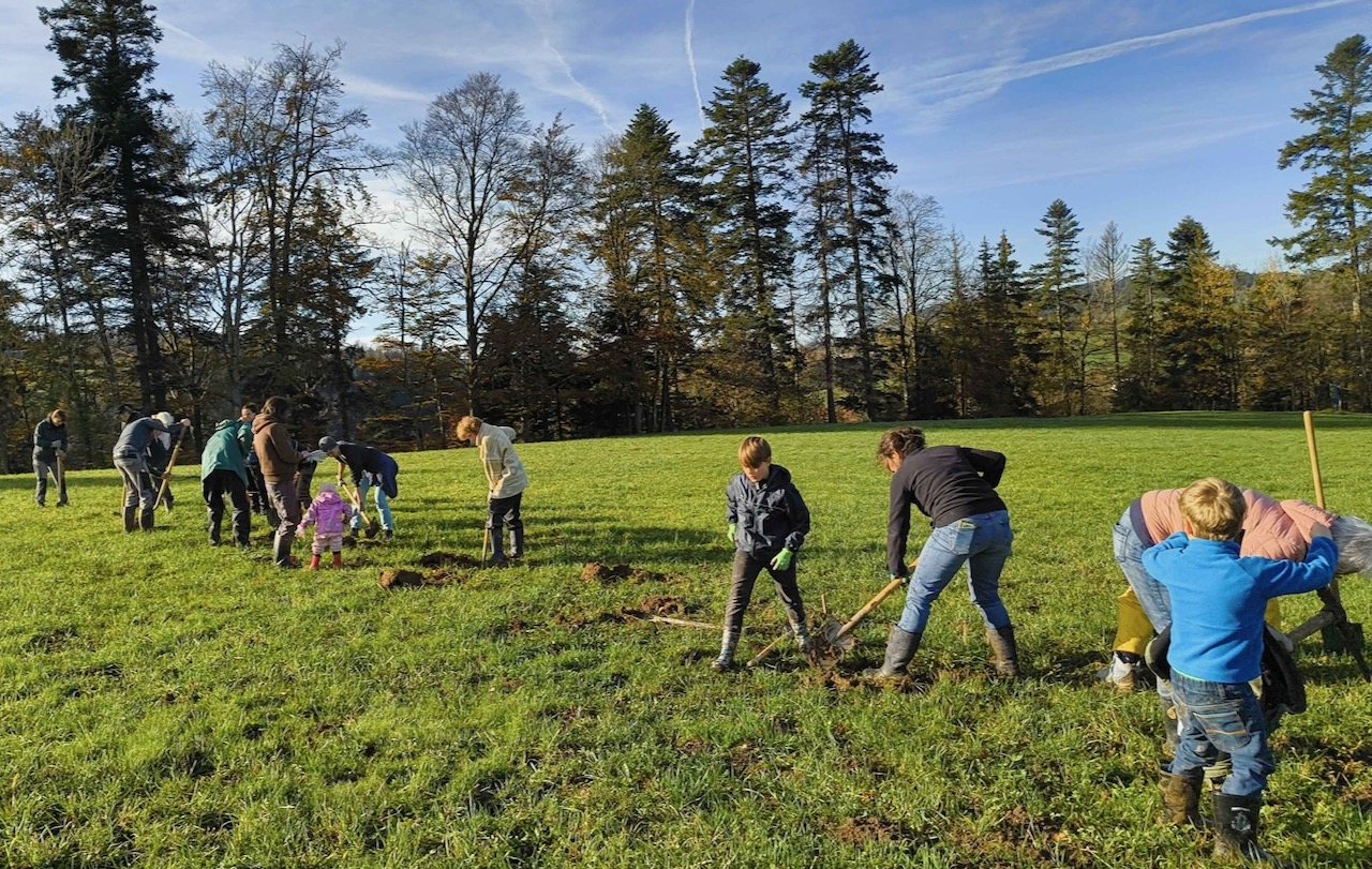Eine Gruppe von ca. 15 Personen gräbt auf einer Wiese Pflanzlöcher.
